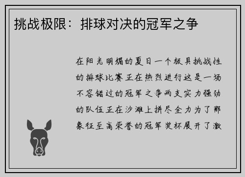 挑战极限：排球对决的冠军之争