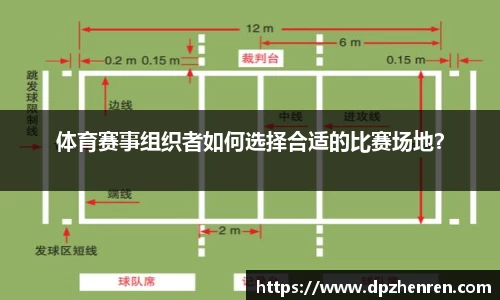 DP真人官网