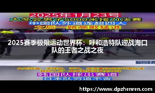 DP真人官方网站